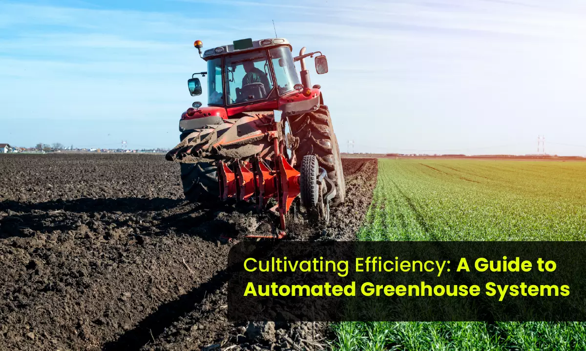 Greenhouse Farming Chennai