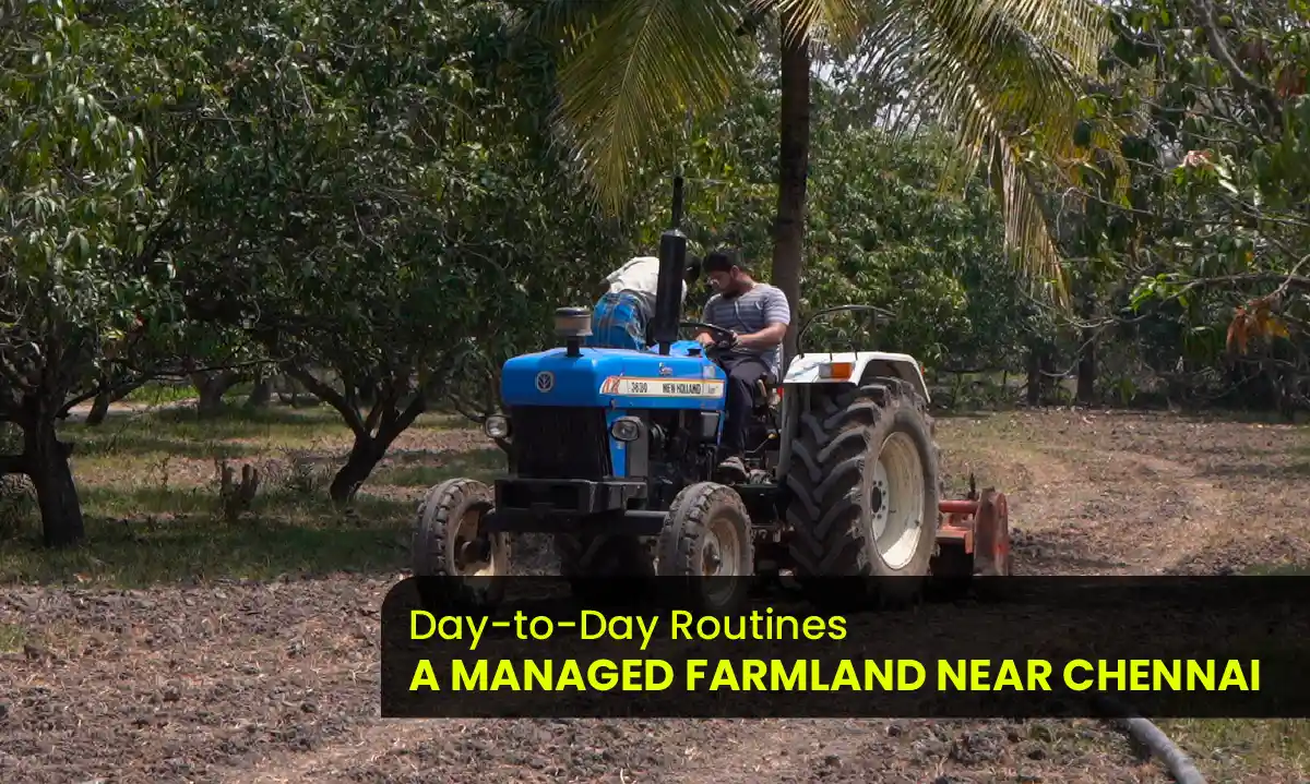 Farmland near Chennai
