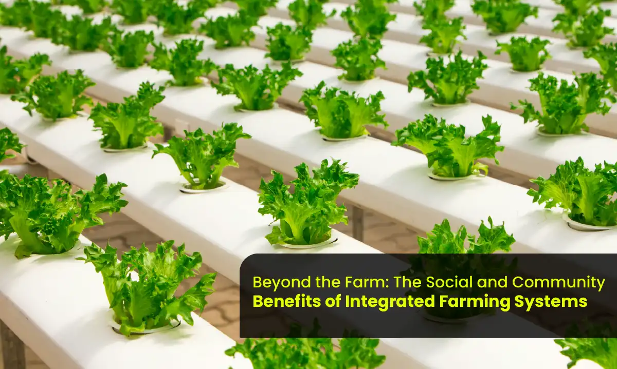 Integrated Farming Chennai