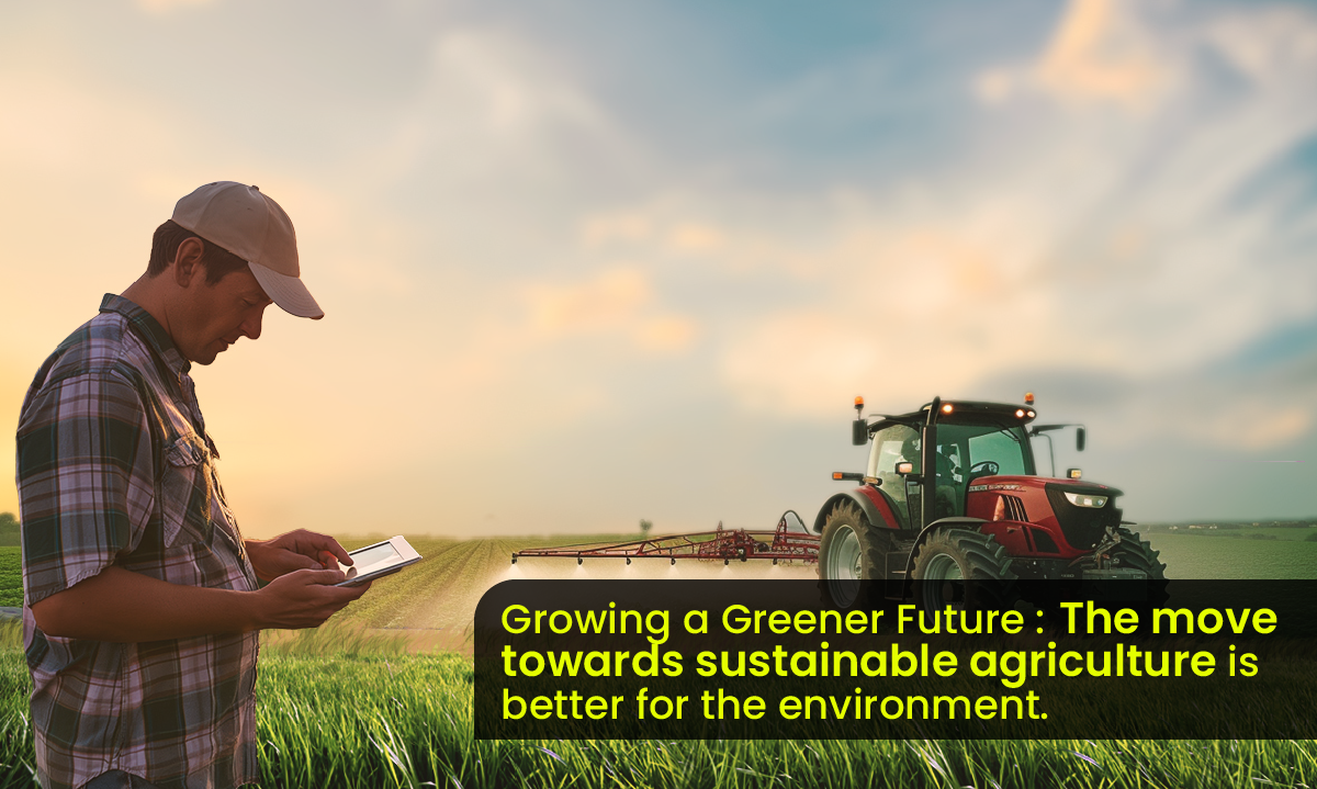 Sustainable Agriculature in Chennai