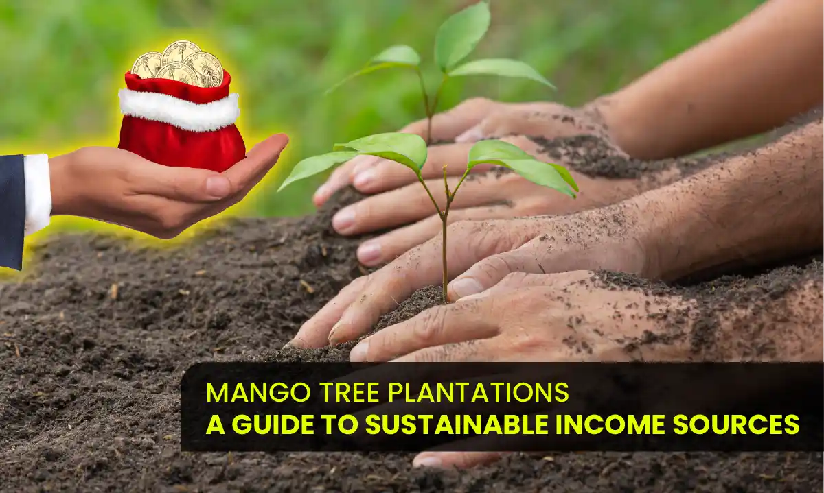 Farm land in Chennai