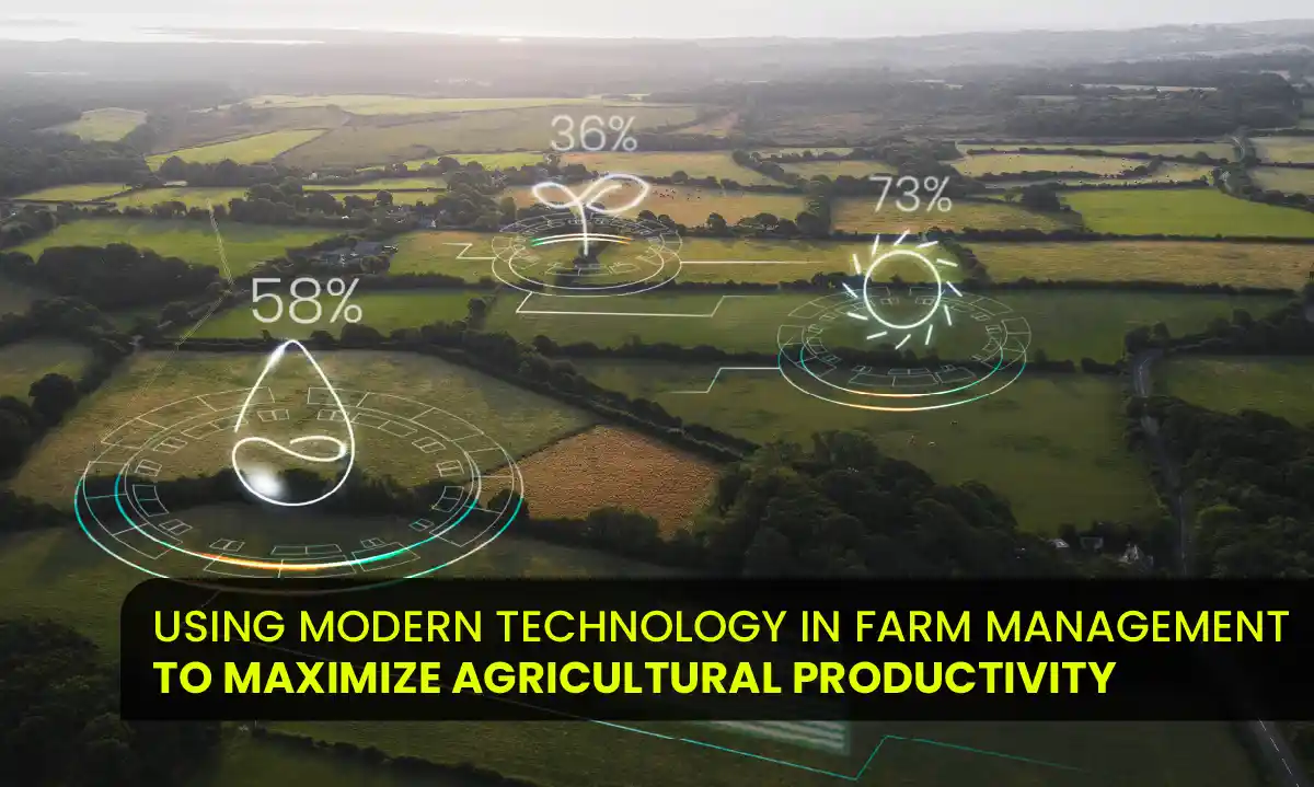 Farm land in Chennai