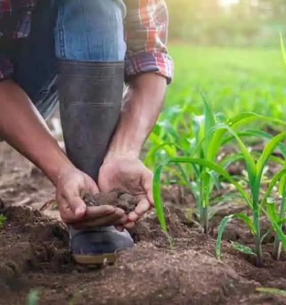 Agriculture land for sale in chennai