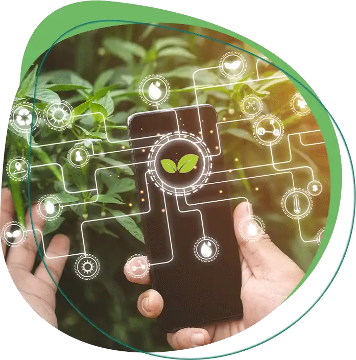 Agriculture Farmland in Chennai