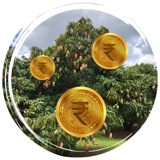 Agriculture Farmland in Chennai