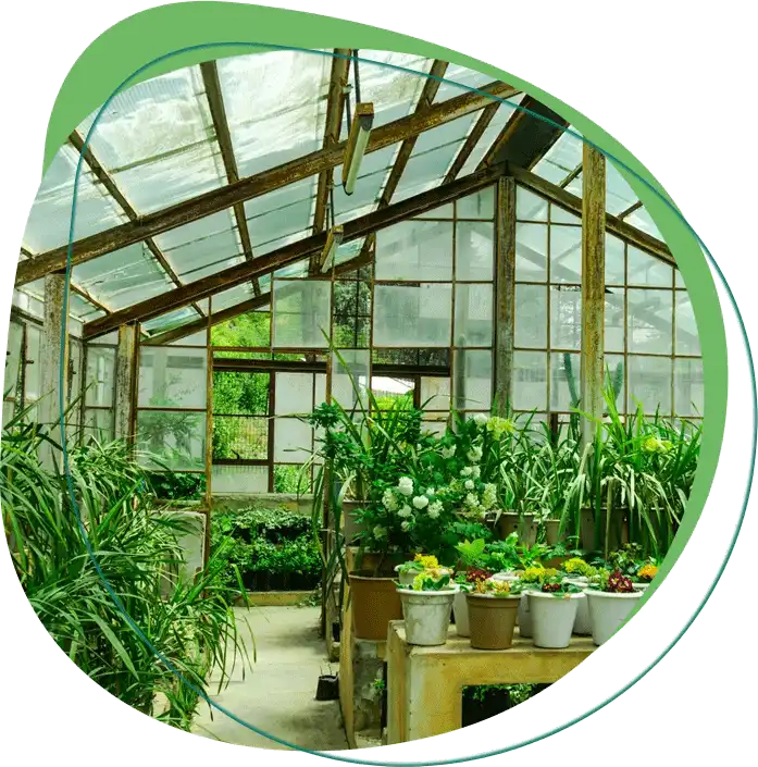 Green House Farming