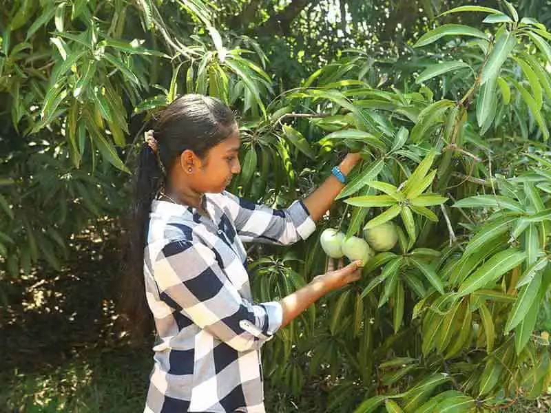 Agriculture land for sale in chennai