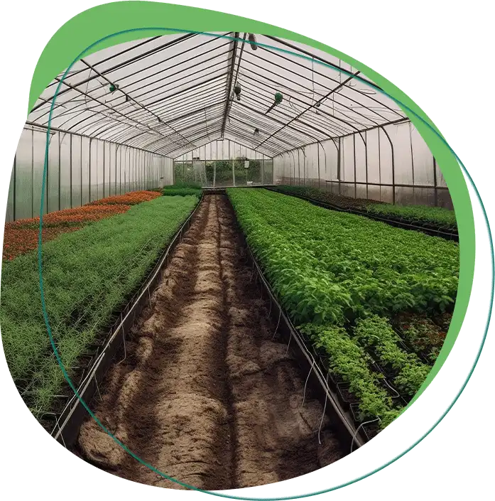 Hydroponic Farm Setup