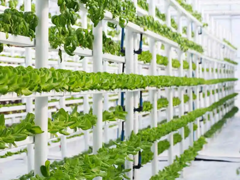 Agriculture land for sale in chennai