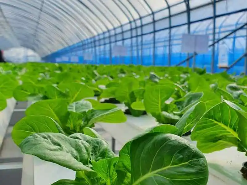 Agriculture land for sale in chennai