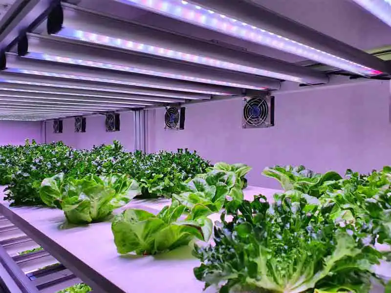 Agriculture farmland in chennai