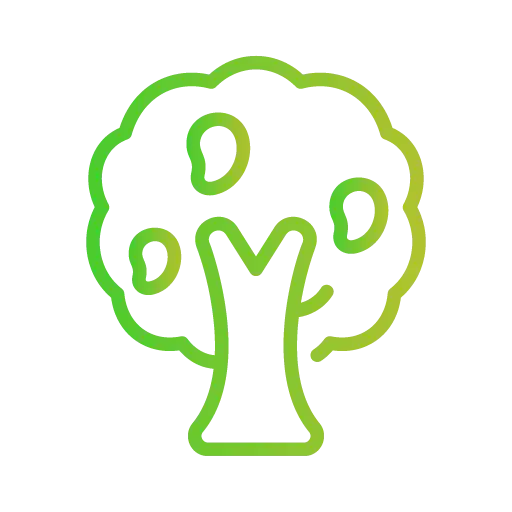 Buy Mangofamrs Chennai