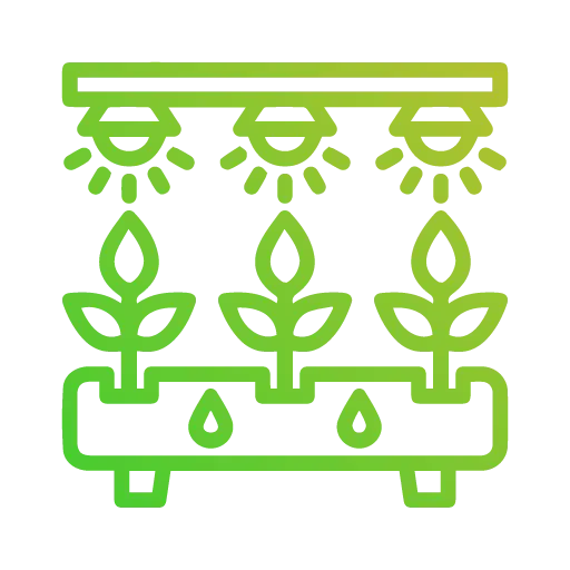 Organic farm for sale