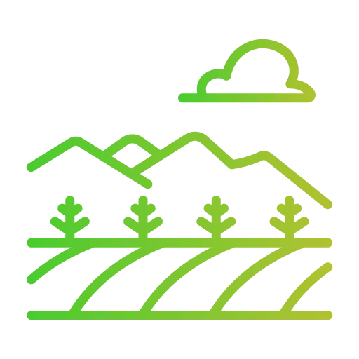 Hydroponic Farm Setup